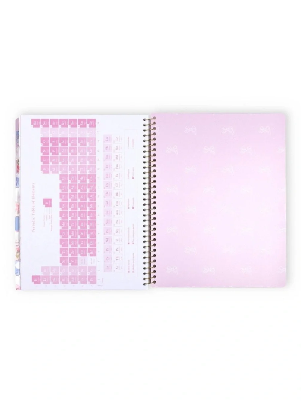 LoveShackFancy x Target Yoobi blooming heirloom planner